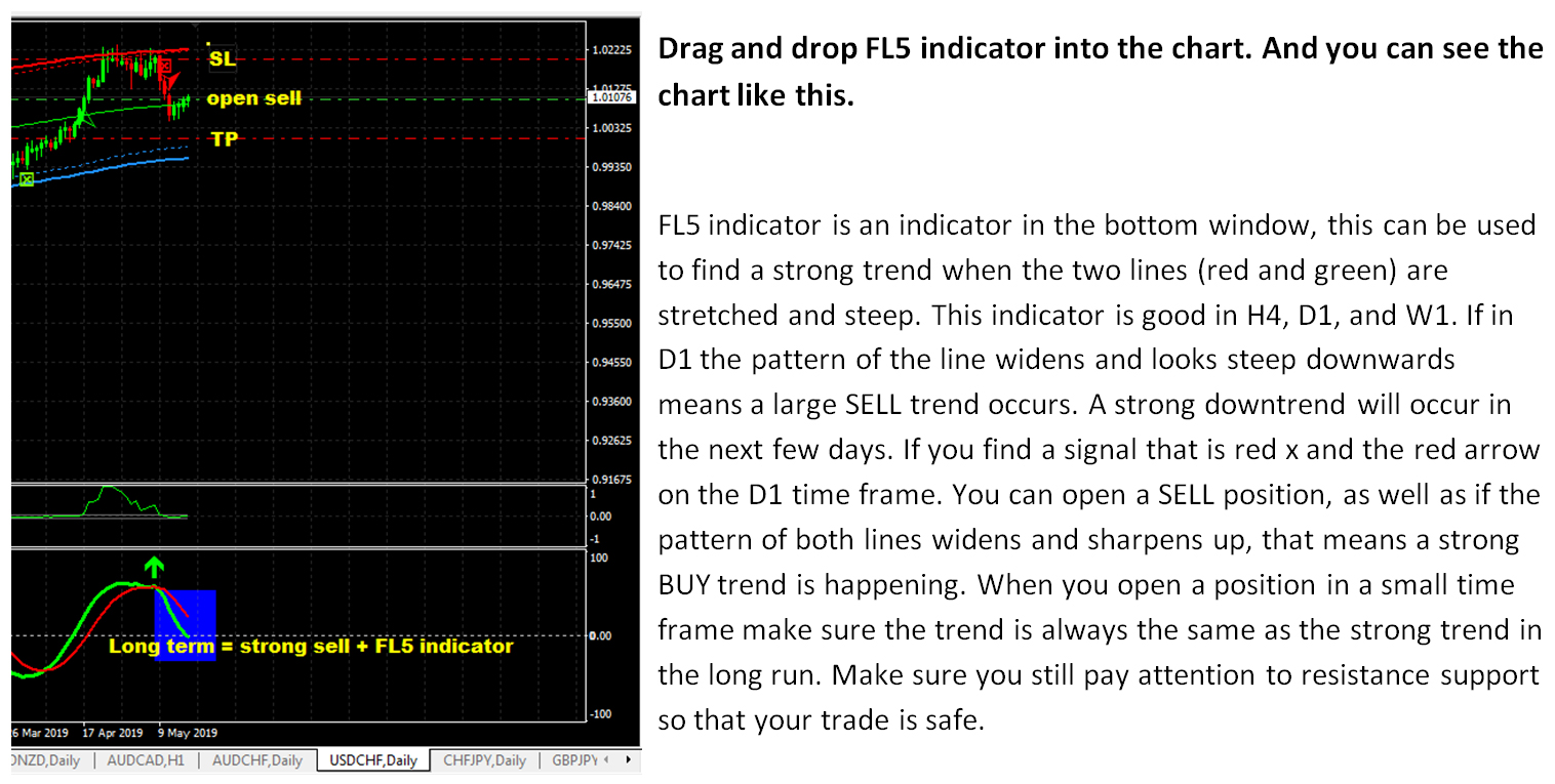 FL5 indicator