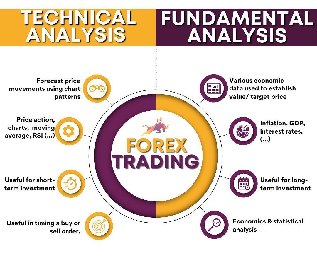 Trader balancing fundamental analysis and forex signals.